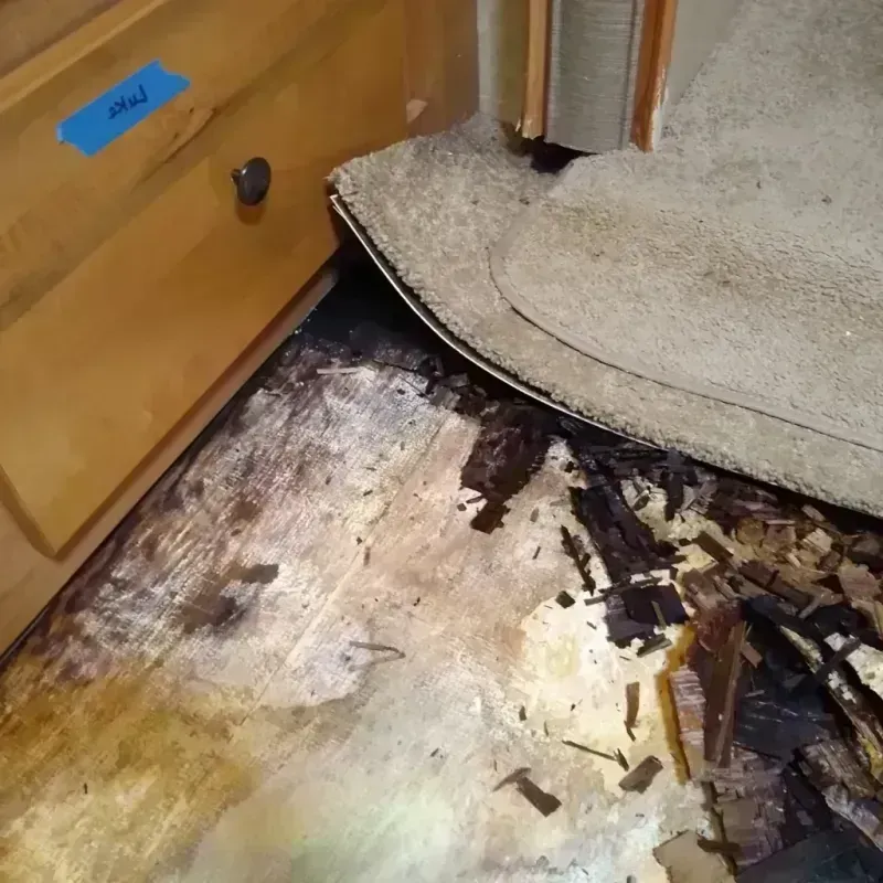 Wood Floor Water Damage in Kendall County, TX